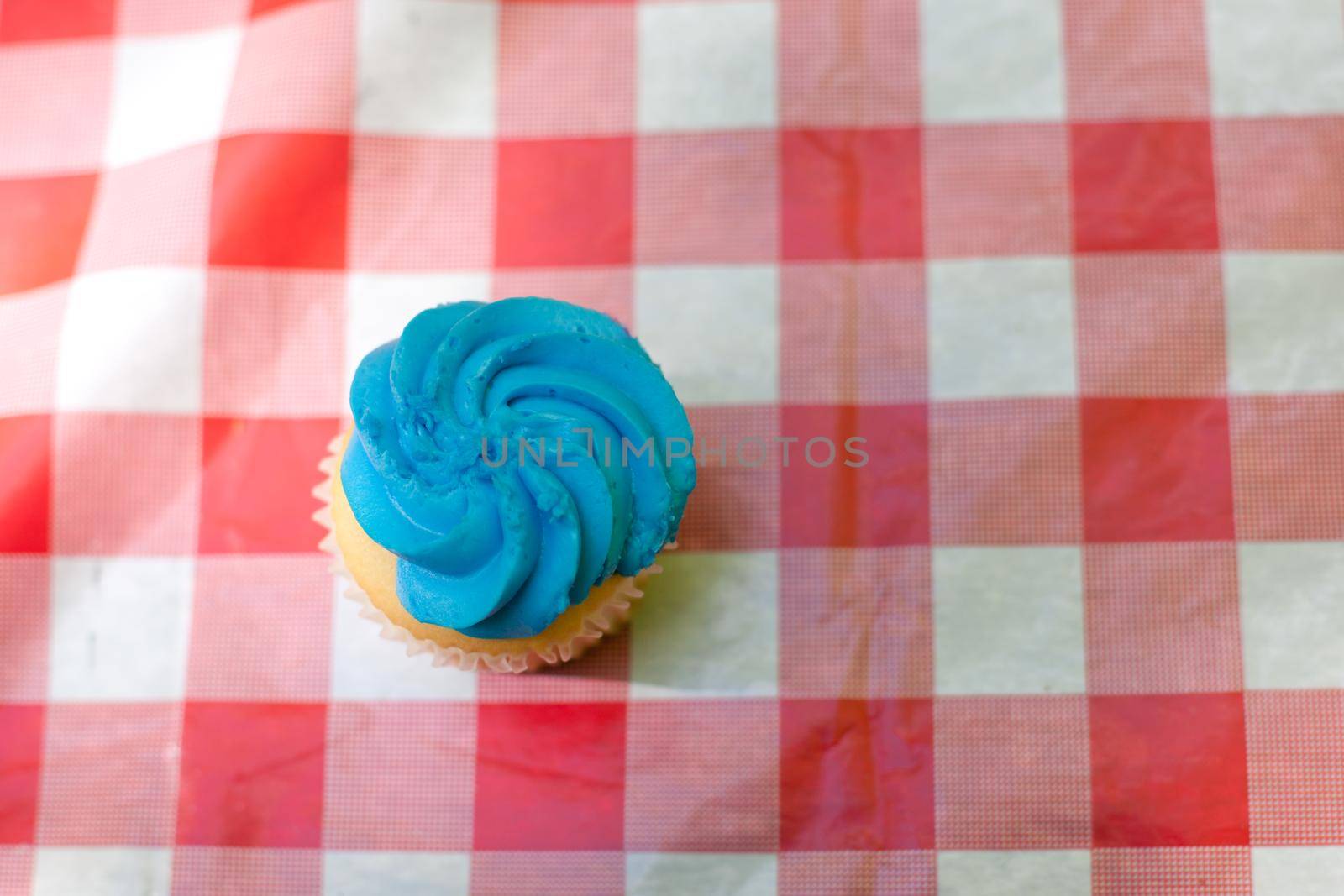  A small cupcake with blue icing ready to be eaten from a picnic table