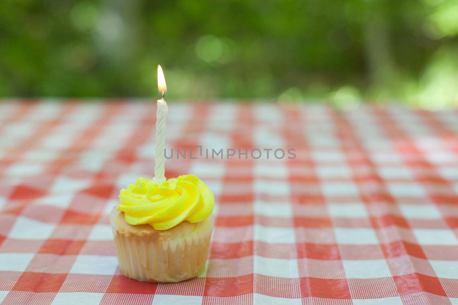  A birthday or celebration with a little cupcake and yellow icing sitting on a checkered picnic table cloth 
