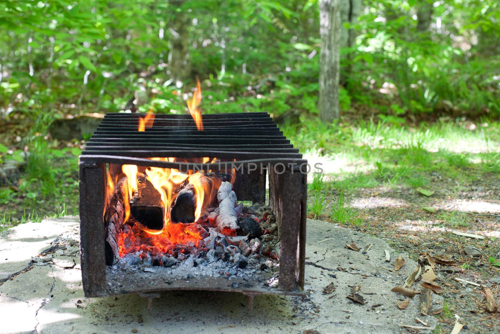  A camp site fire pit is lit, burning with glowing coals and ember on a sunny day 