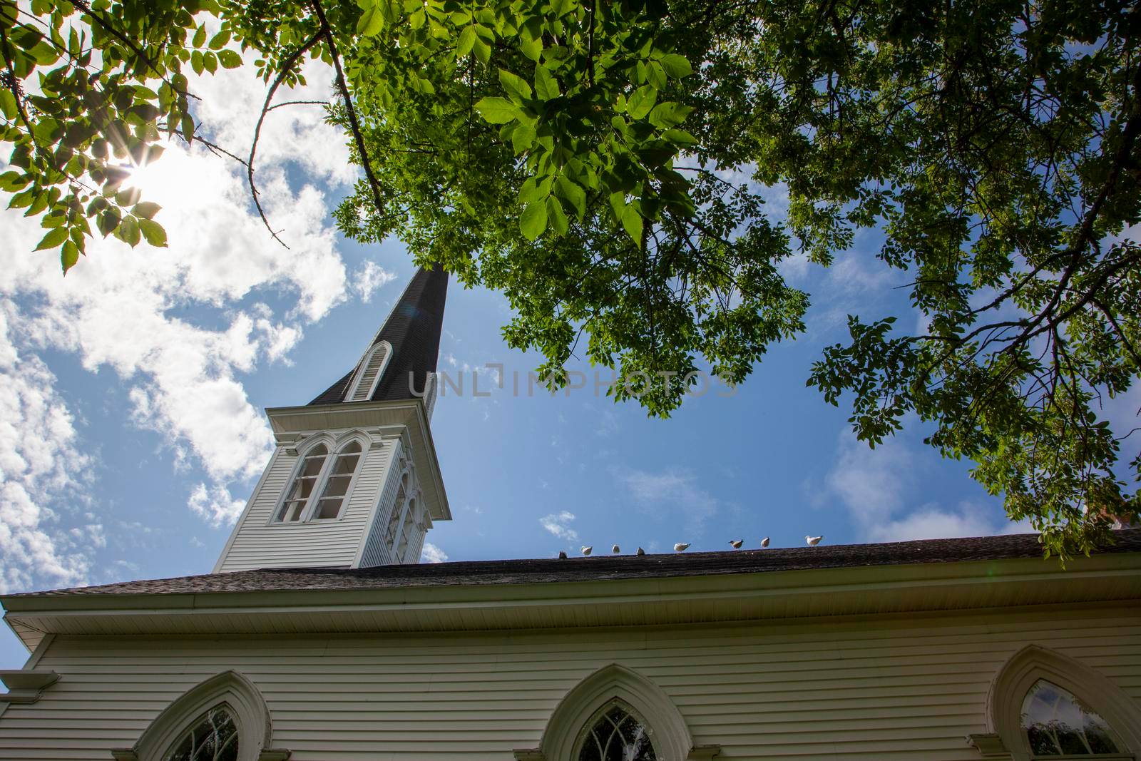  August 18, 2019 - Highway 2 Five Islands, Nova Scotia- seagulls perched along the top of the Peniel United Church 