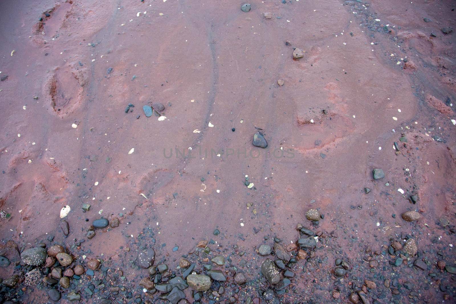 muddy ocean floor  by rustycanuck