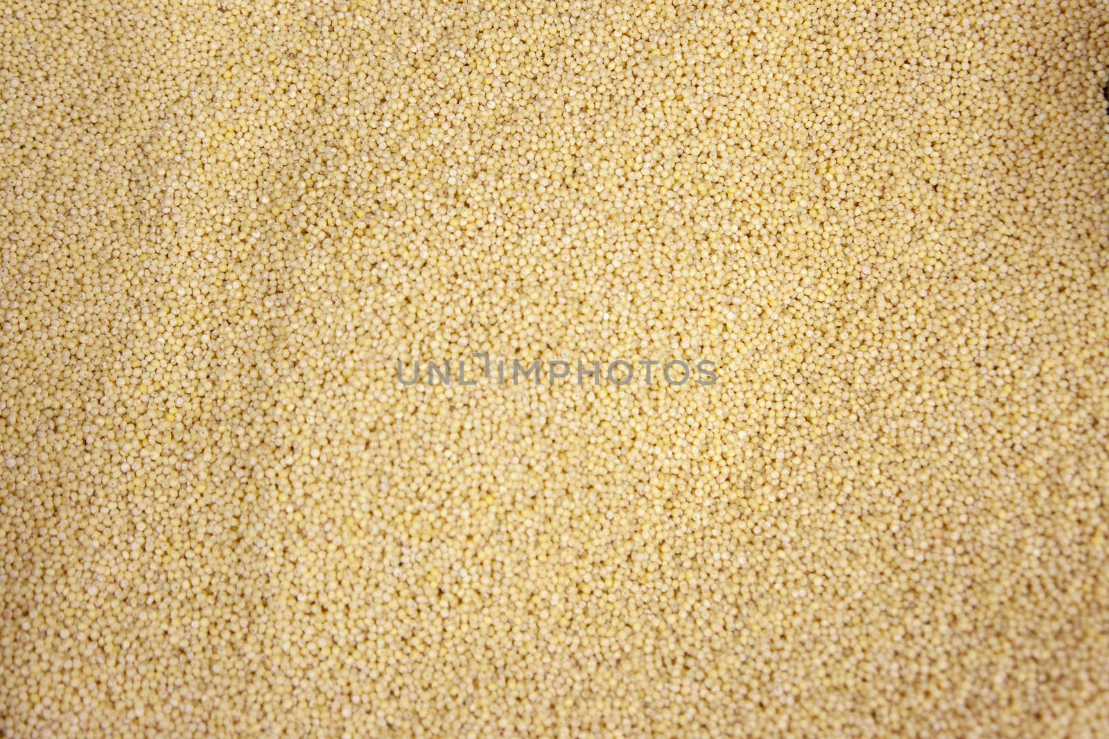 small yellow colored pearls of millet in a bin 