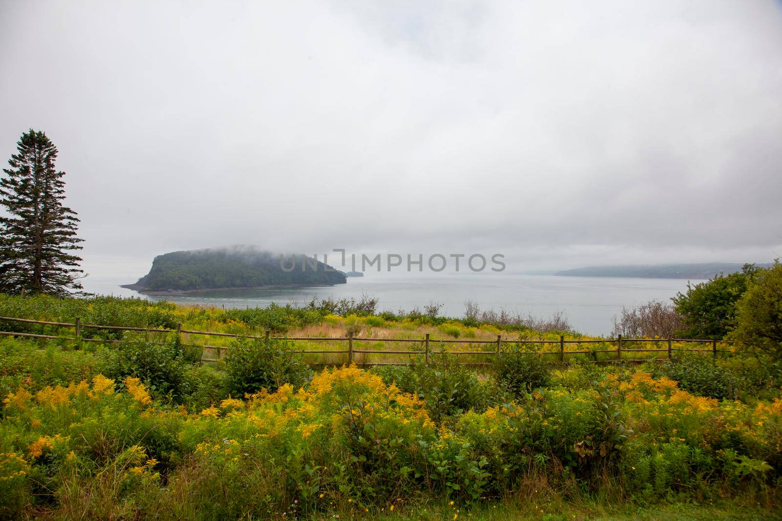  misty view of islands from five islands provincial park in nova scotia 