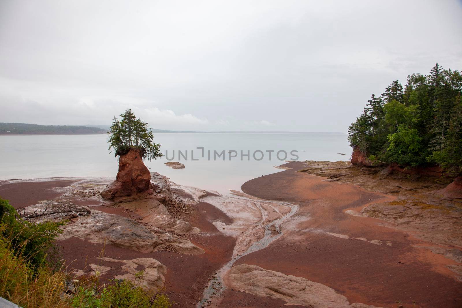 low tide swirls around what remains of an island in the bay of fundy nova scotia 