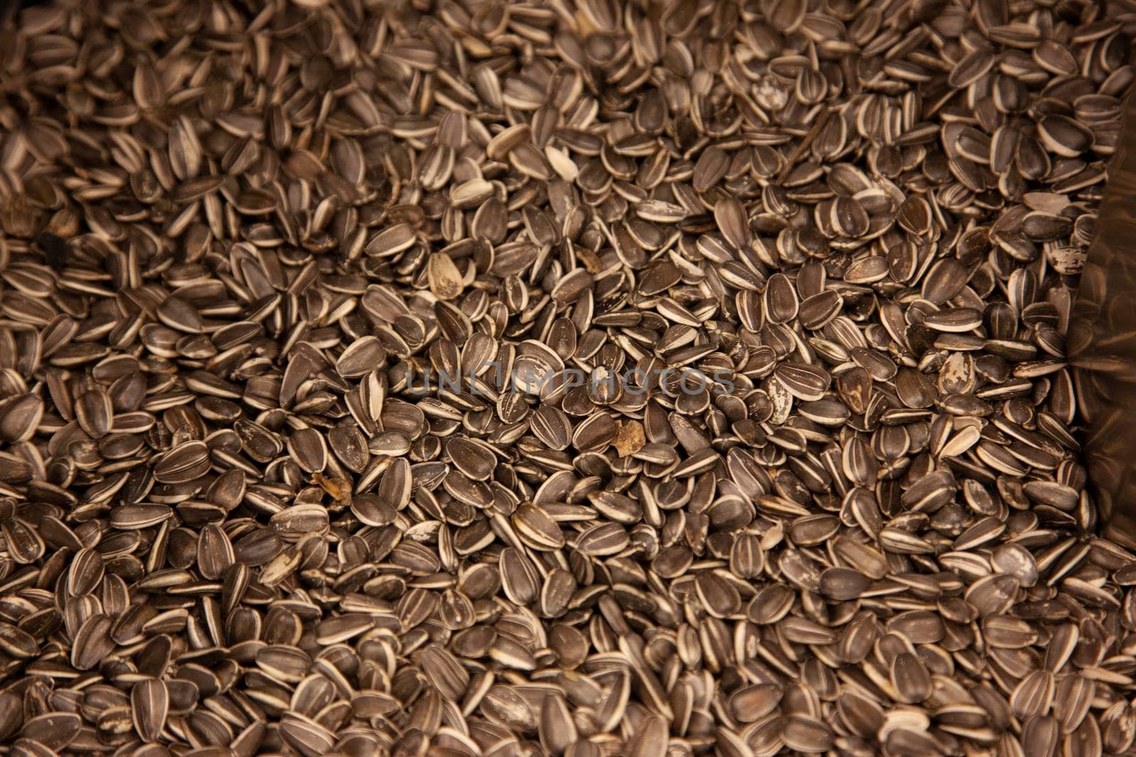sunflower seeds in a bin  by rustycanuck