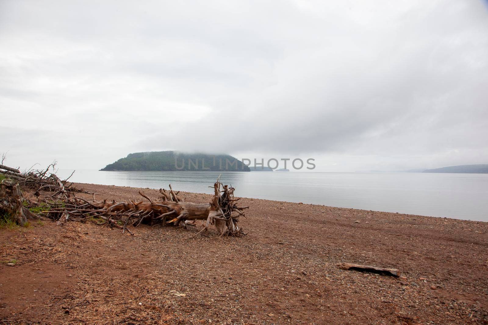a piece of old wood on the beach on a gloomy day with islands behind