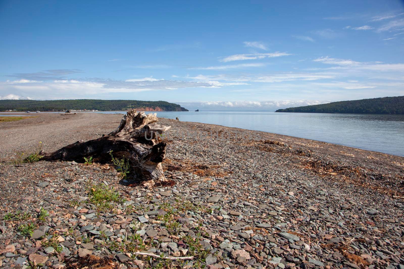 summer on a canadian beach with rocks and ocean and a piece of wood 