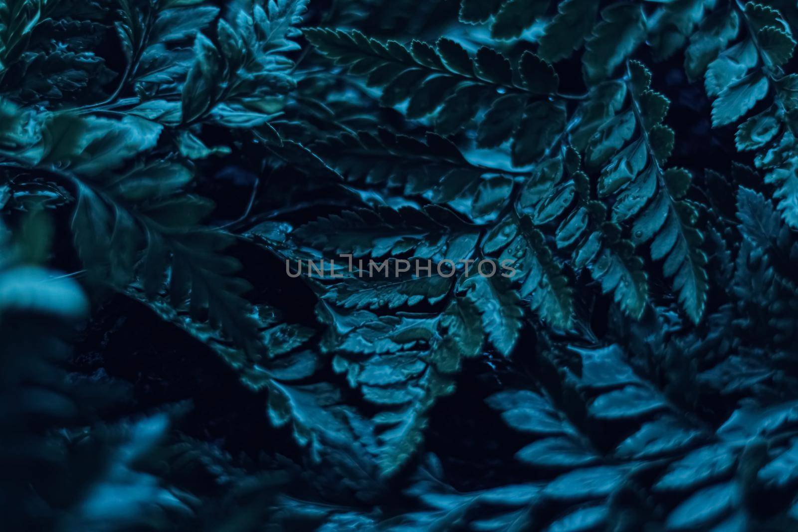 Blue plant leaves at night as surreal botanical background, minimal design by Anneleven