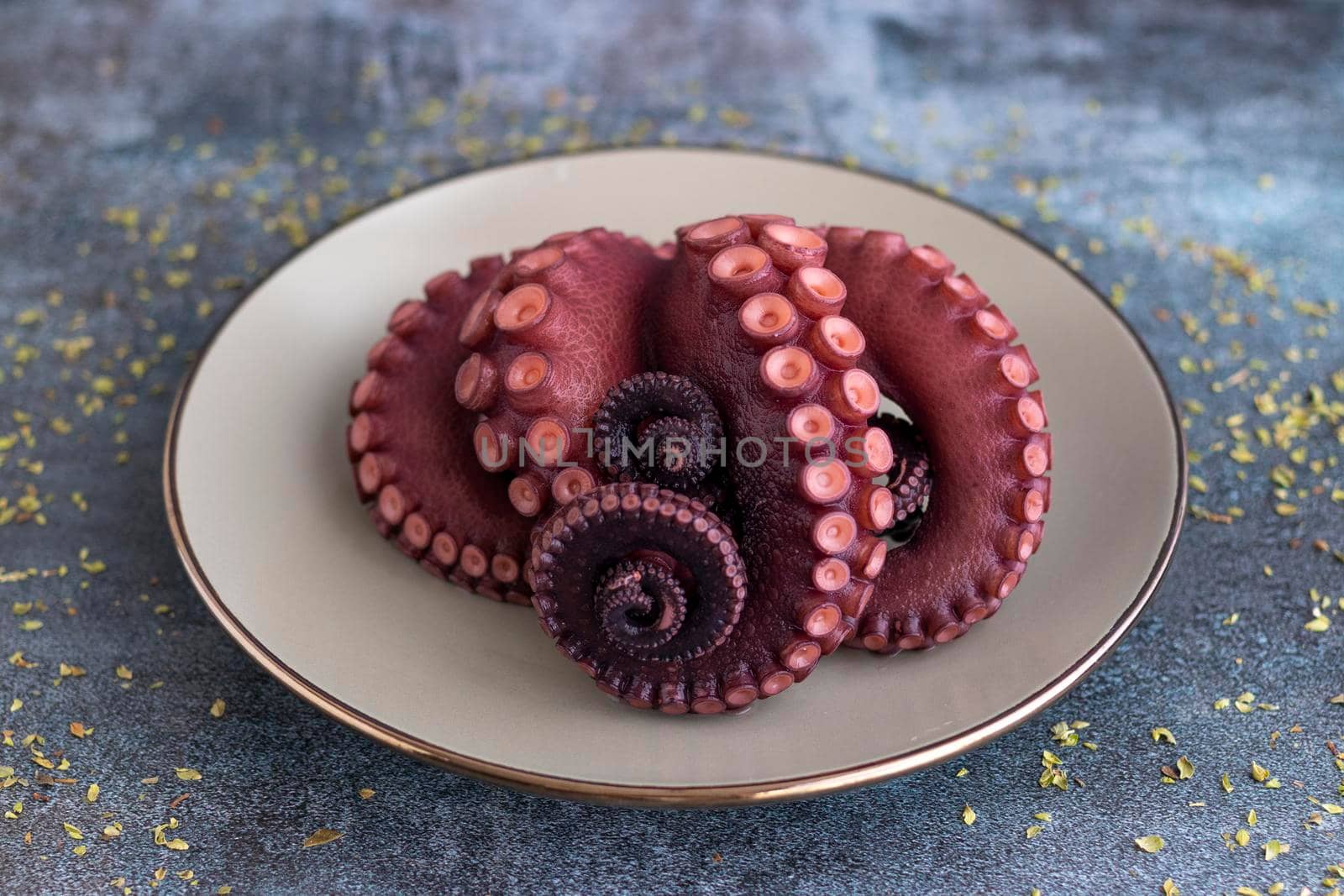 Delicious octopus tentacles served on a fine plate by eagg13