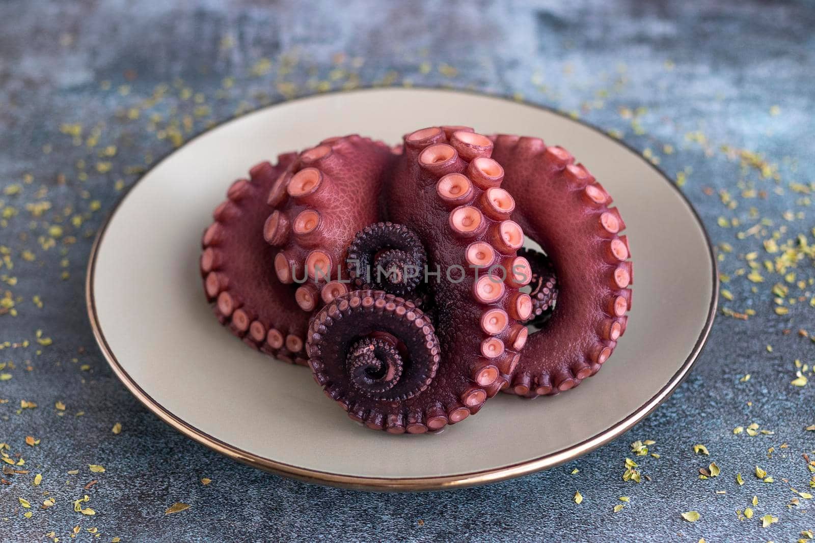 Delicious octopus tentacles served on a fine plate by eagg13