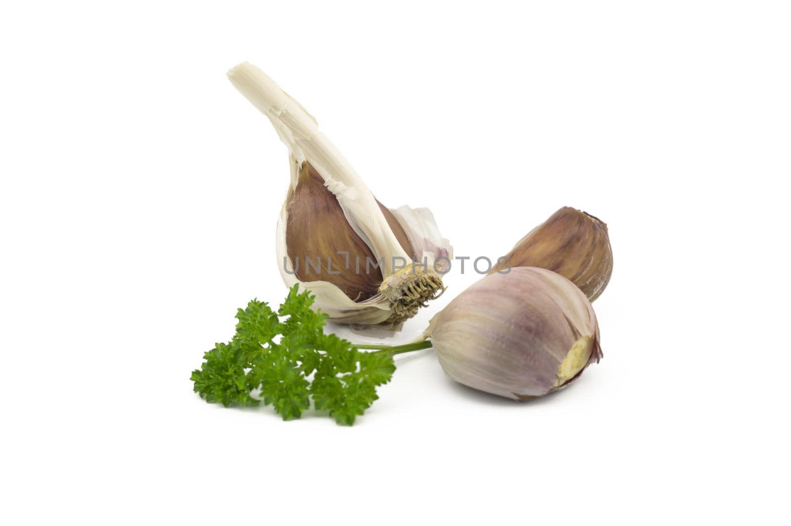 Garlic cloves and green parsley twig in close-up isolated on white background