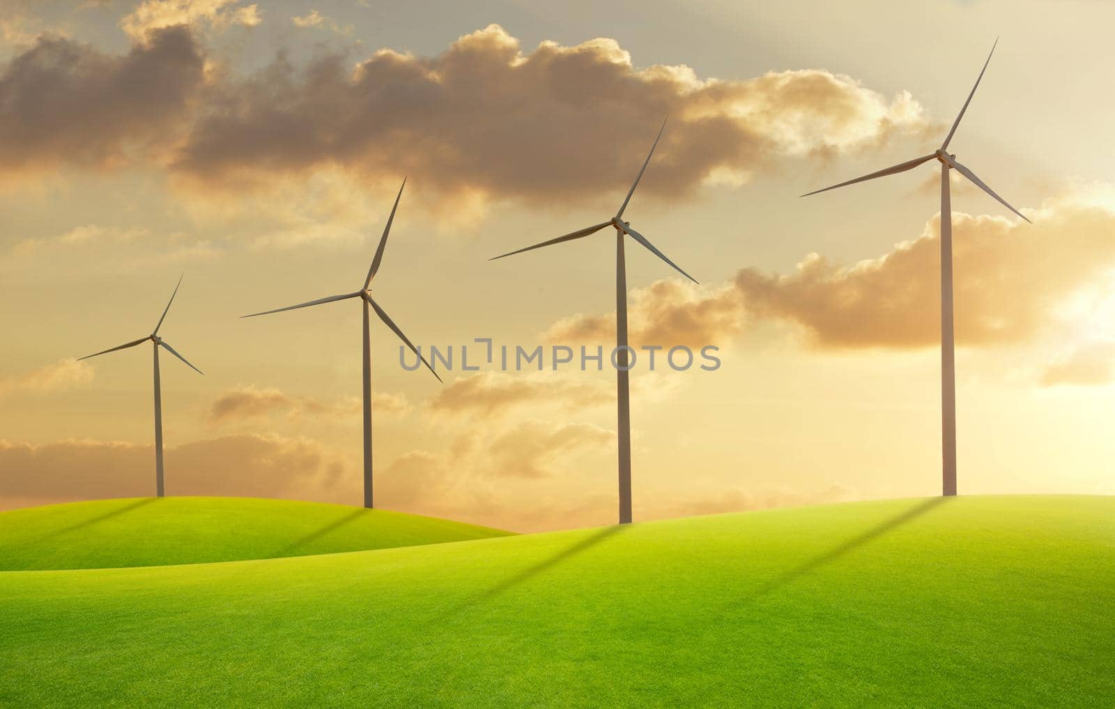 Wind turbine in green field  at sunset.