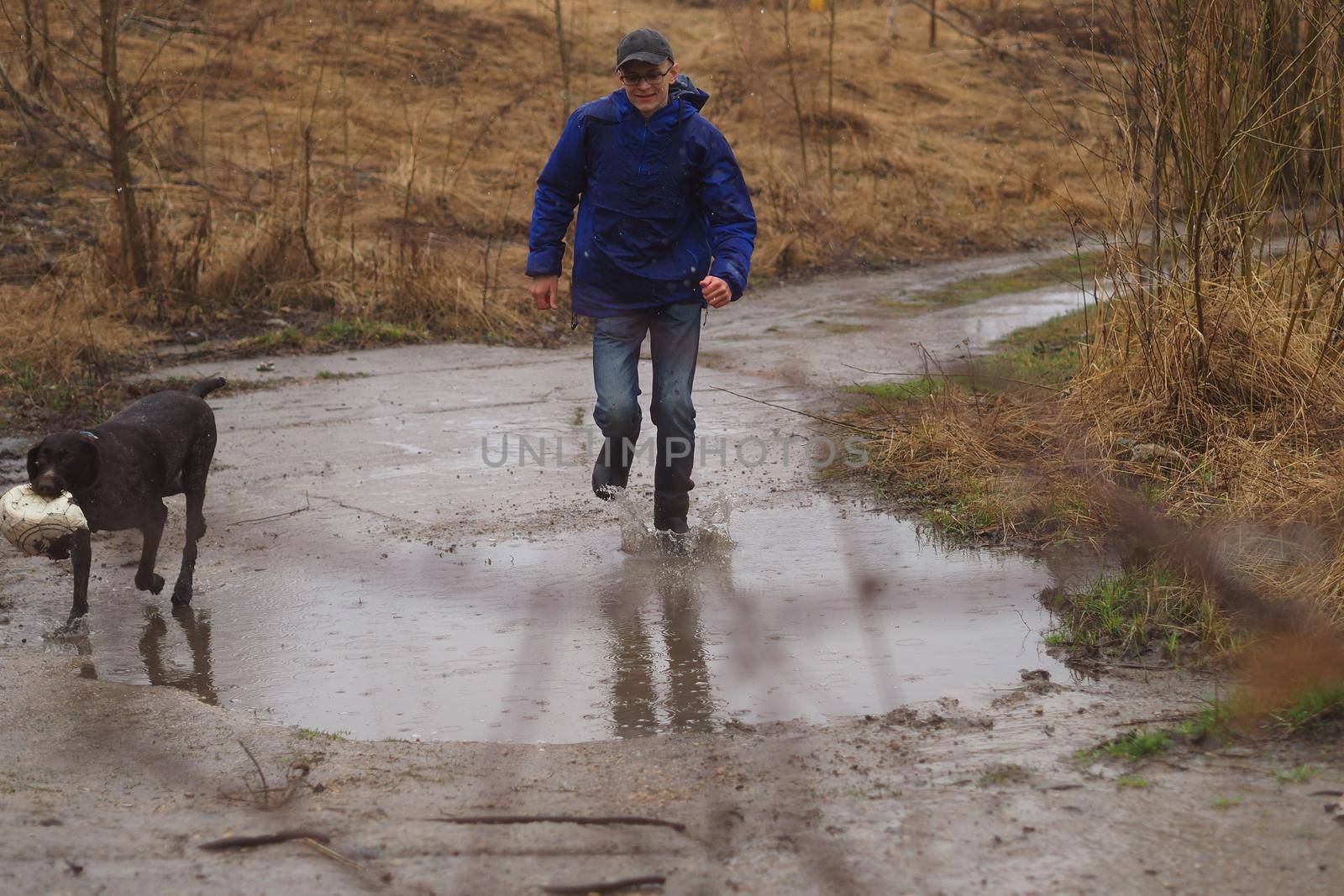 rain. A man with a dog walks in the rain. Raindrops and a big puddle. High quality photo