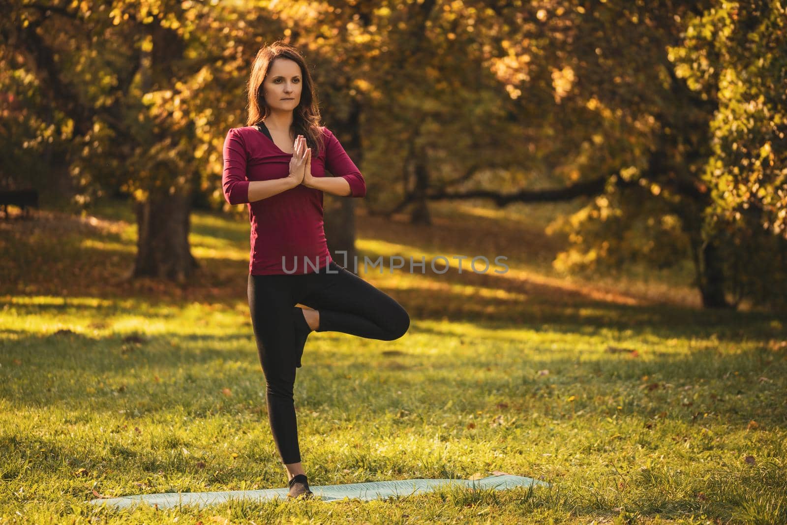 Beautiful woman doing yoga in the nature.Tree pose/Vrikshasana