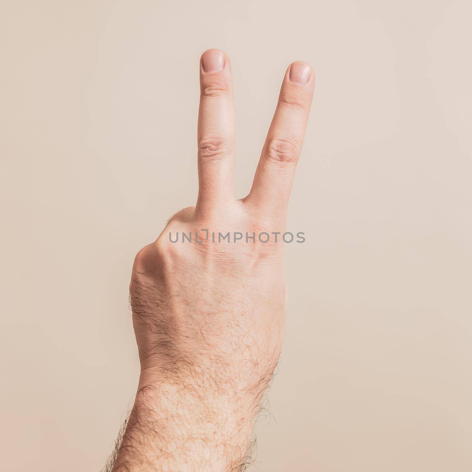 Close up image of male hand showing  victory sign.