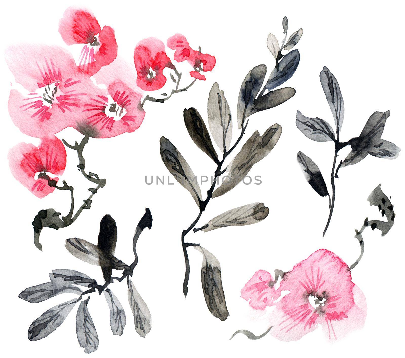 Watercolor illustration of pink flowers, buds and leaves. Oriental traditional painting in style sumi-e, u-sin and gohua. Set of leaves and flowers on white background.