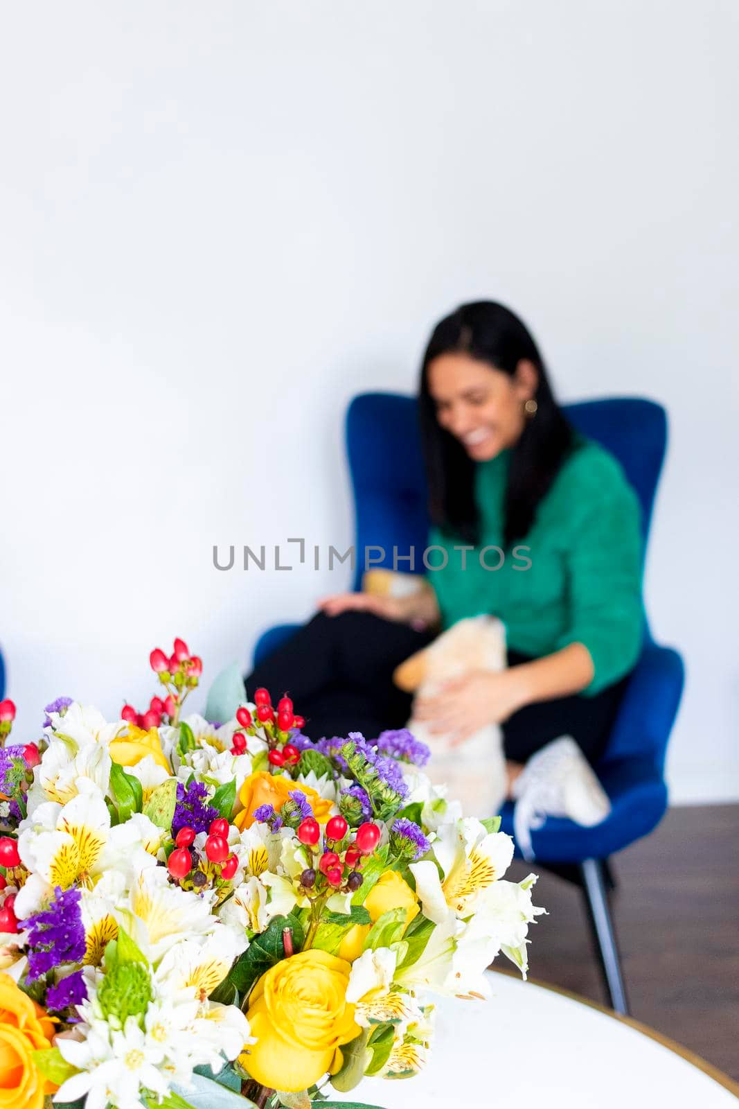 Beauty young woman stroking your pet in the living home flower arrangement in your home by eagg13