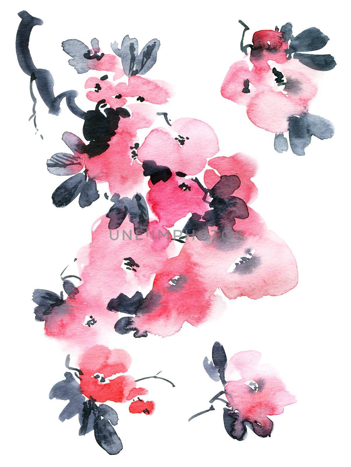 Watercolor and ink illustration of blossom sakura tree with pink flowers and buds. Oriental traditional painting in style sumi-e, u-sin and gohua. Tree branch on white background.