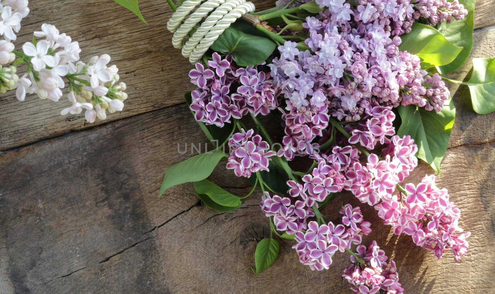 Spring fresh flower background. Lilac flowers on rustic grunge old wood background. Morning light, flat lay