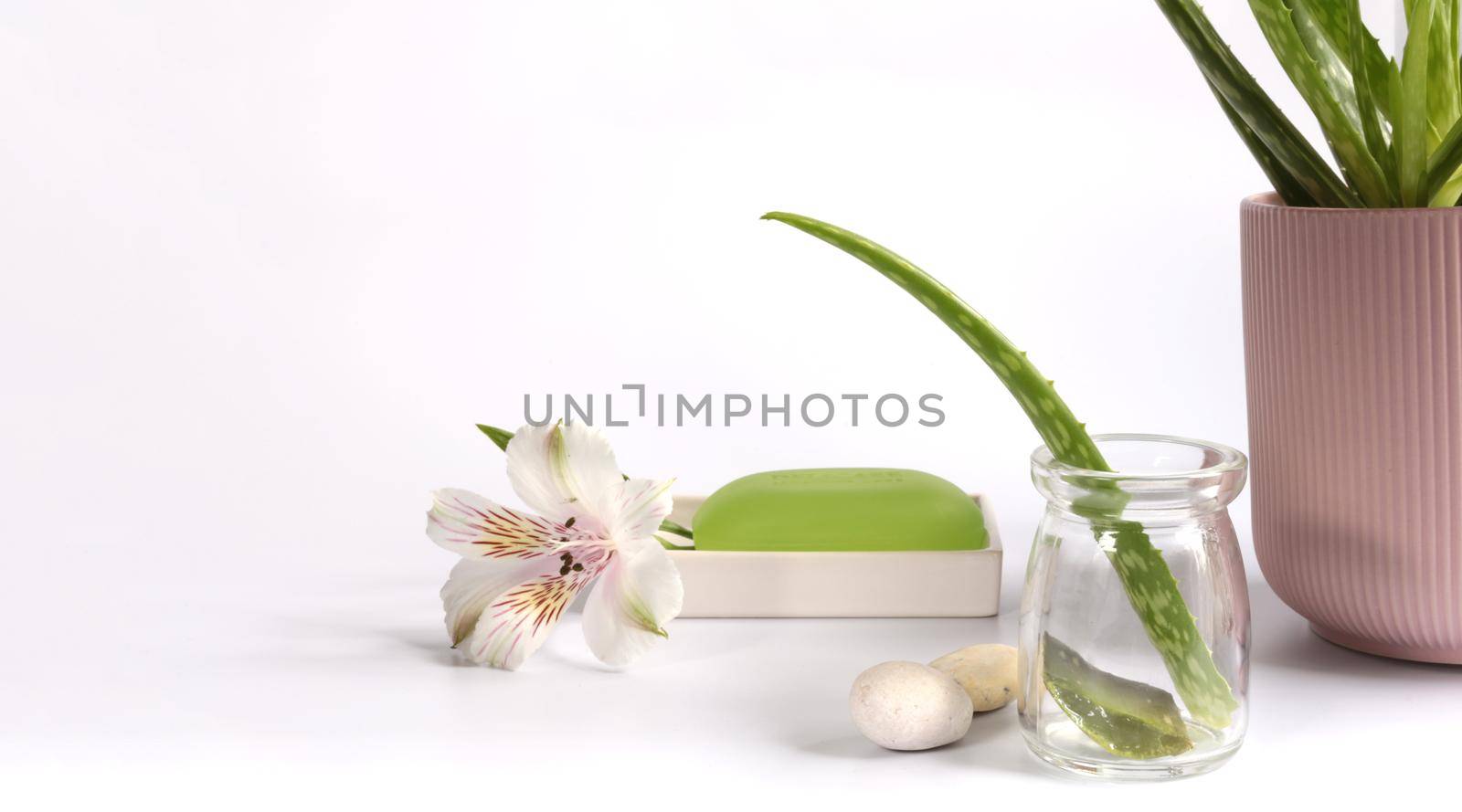 Aloe Vera leaf, sliced aloe vera plant with spa background over white