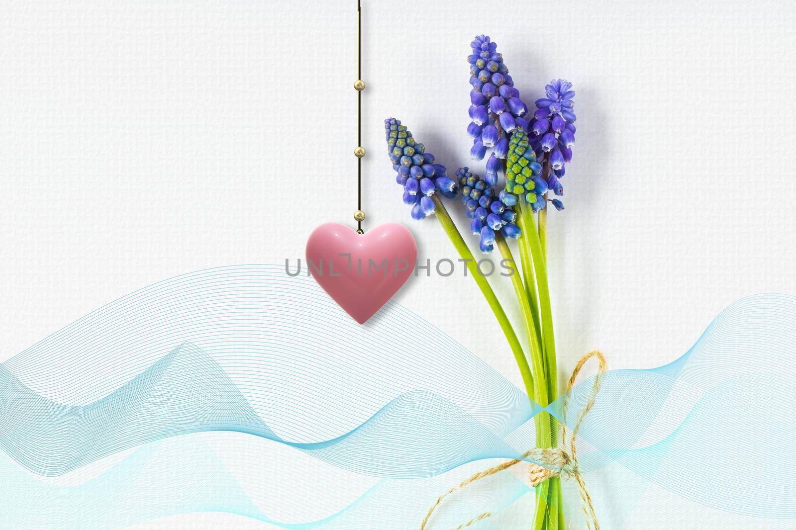 Festive spring blue flower composition on white background with ribbon and hanging 3d pink heart