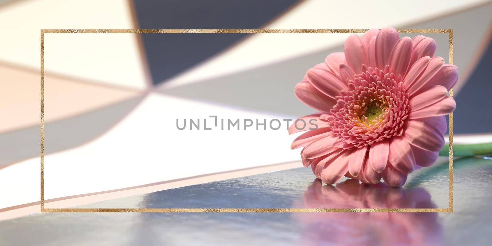 Beautiful pink flowers on pastel abstract background. spring summer gerbera flower in gold frame. Mock up. Place for text