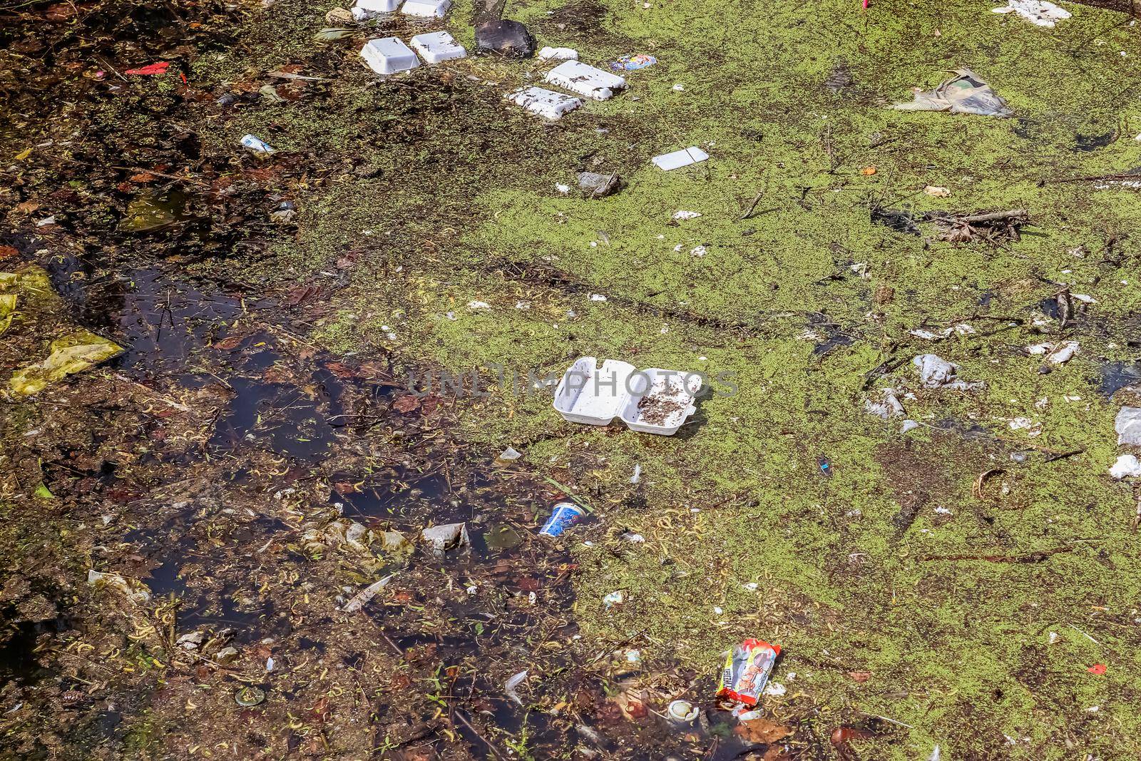 Environmental pollution found at a lake where people dumped their rubbish.