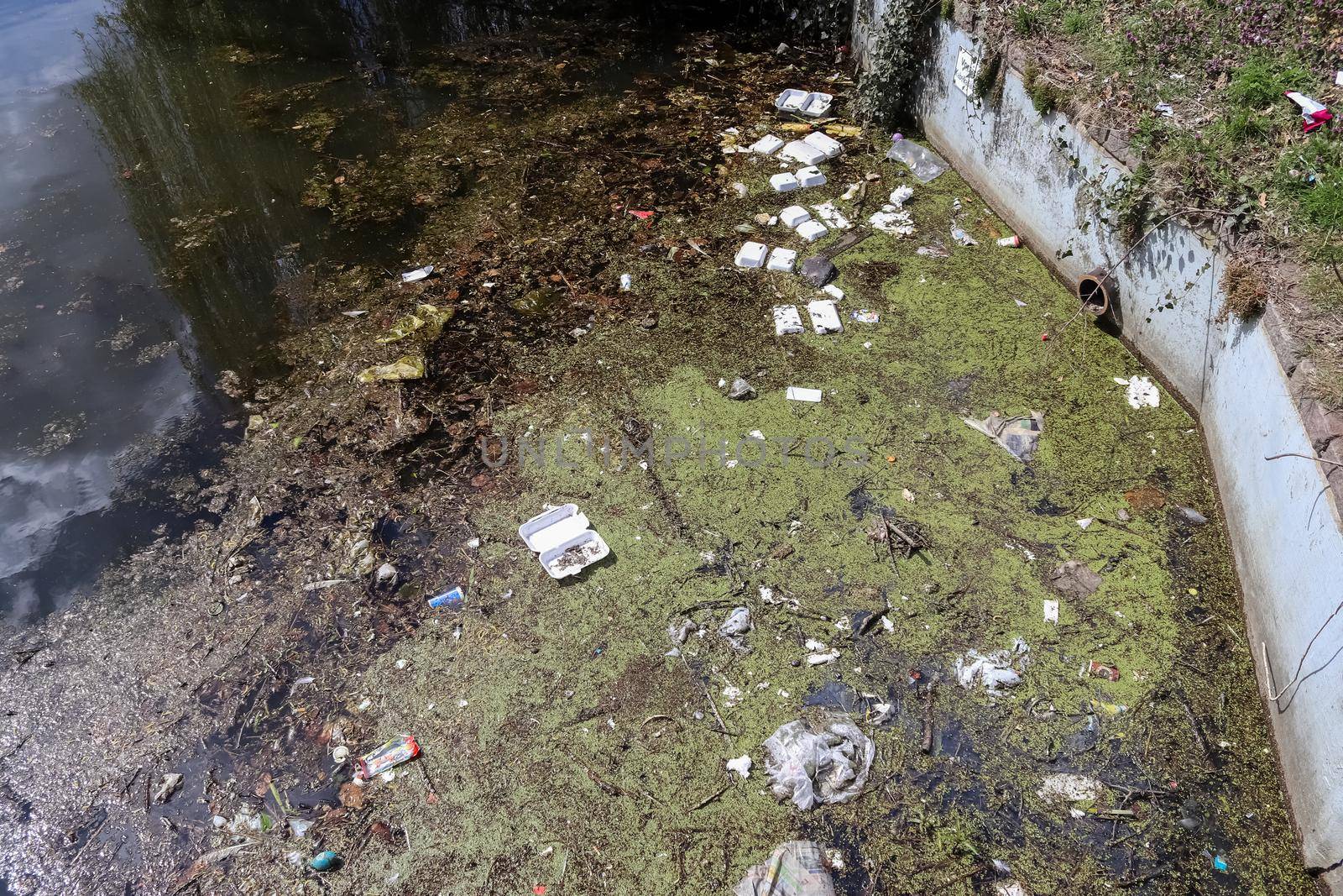 Environmental pollution found at a lake where people dumped their rubbish.