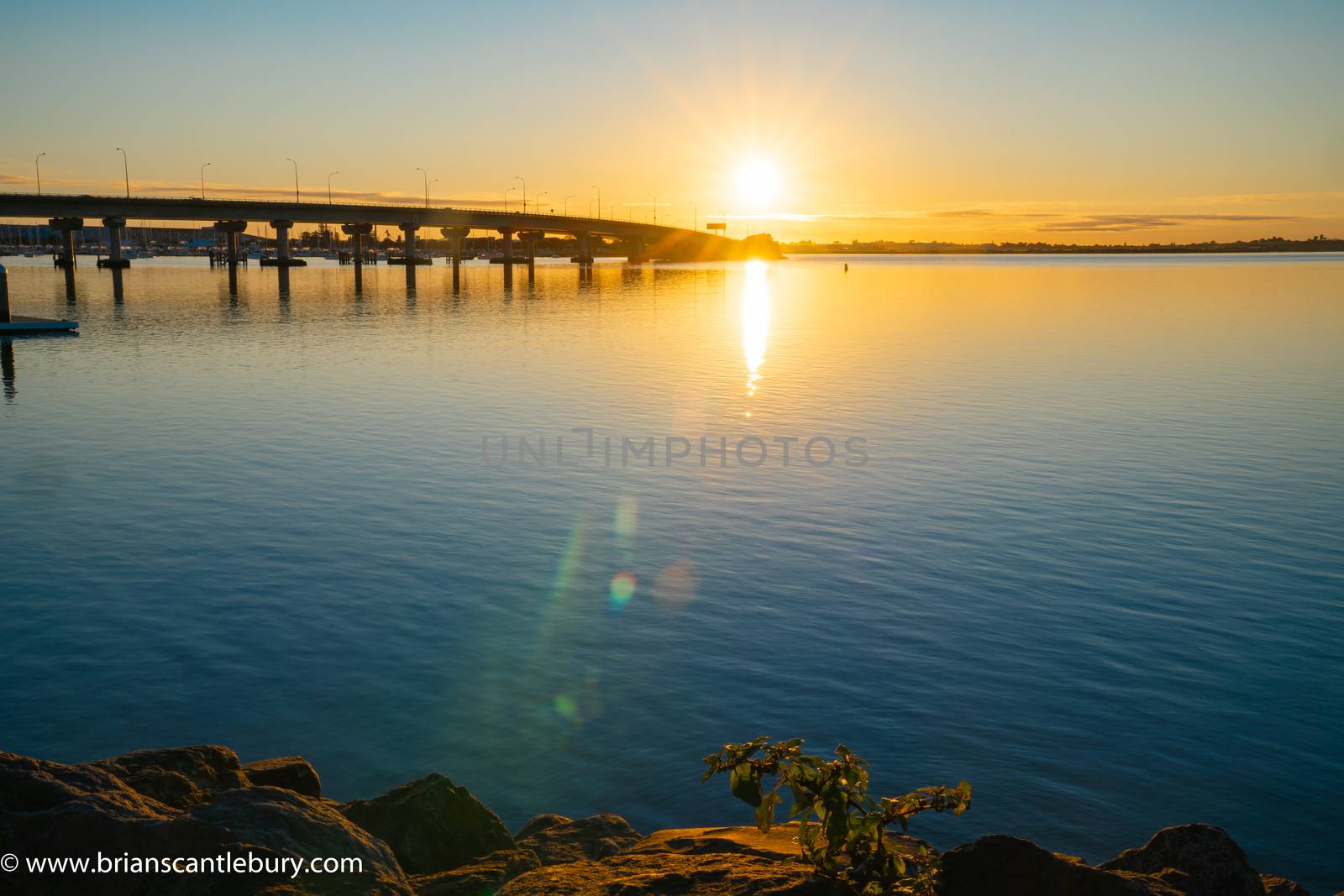 Sweeping lines of Tauranga Harbour Bridge over calm blue water with glow of rising sun at far end over horizon.
