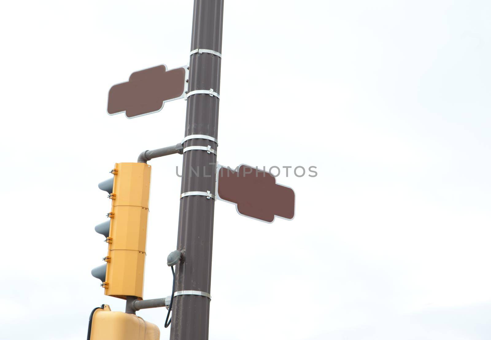 corner or intersection with traffic lights and two brown street signs with copy space