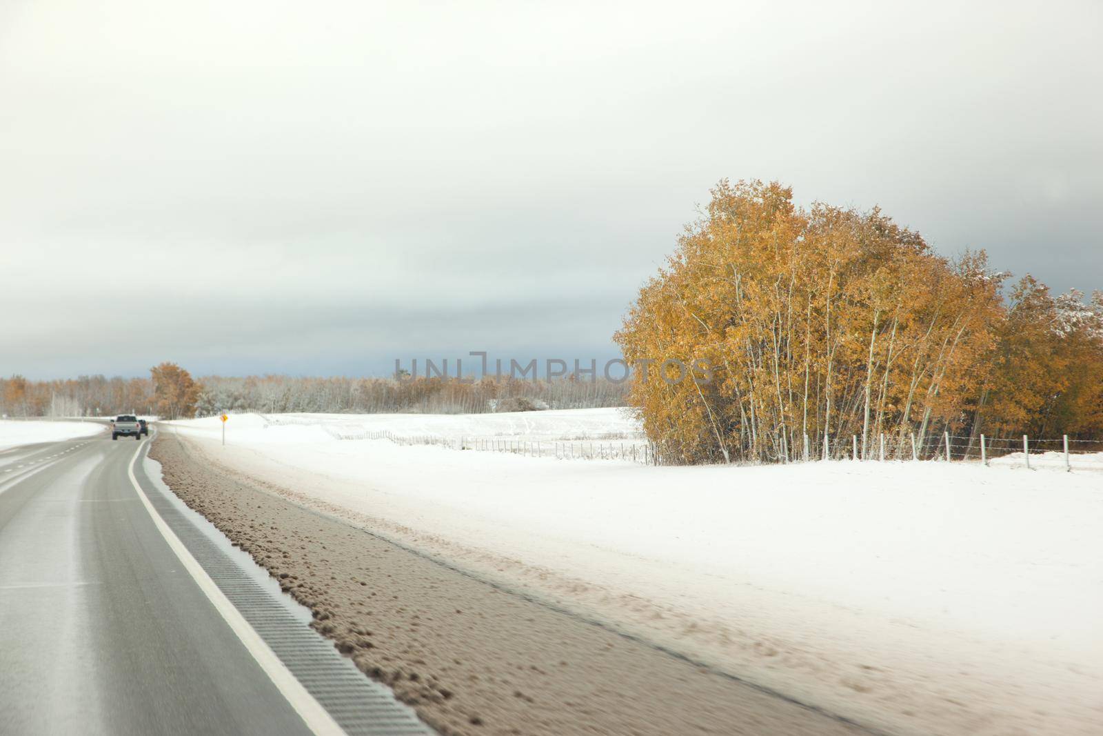  a snowy stretch of field beside autumn trees on a canadian highway 