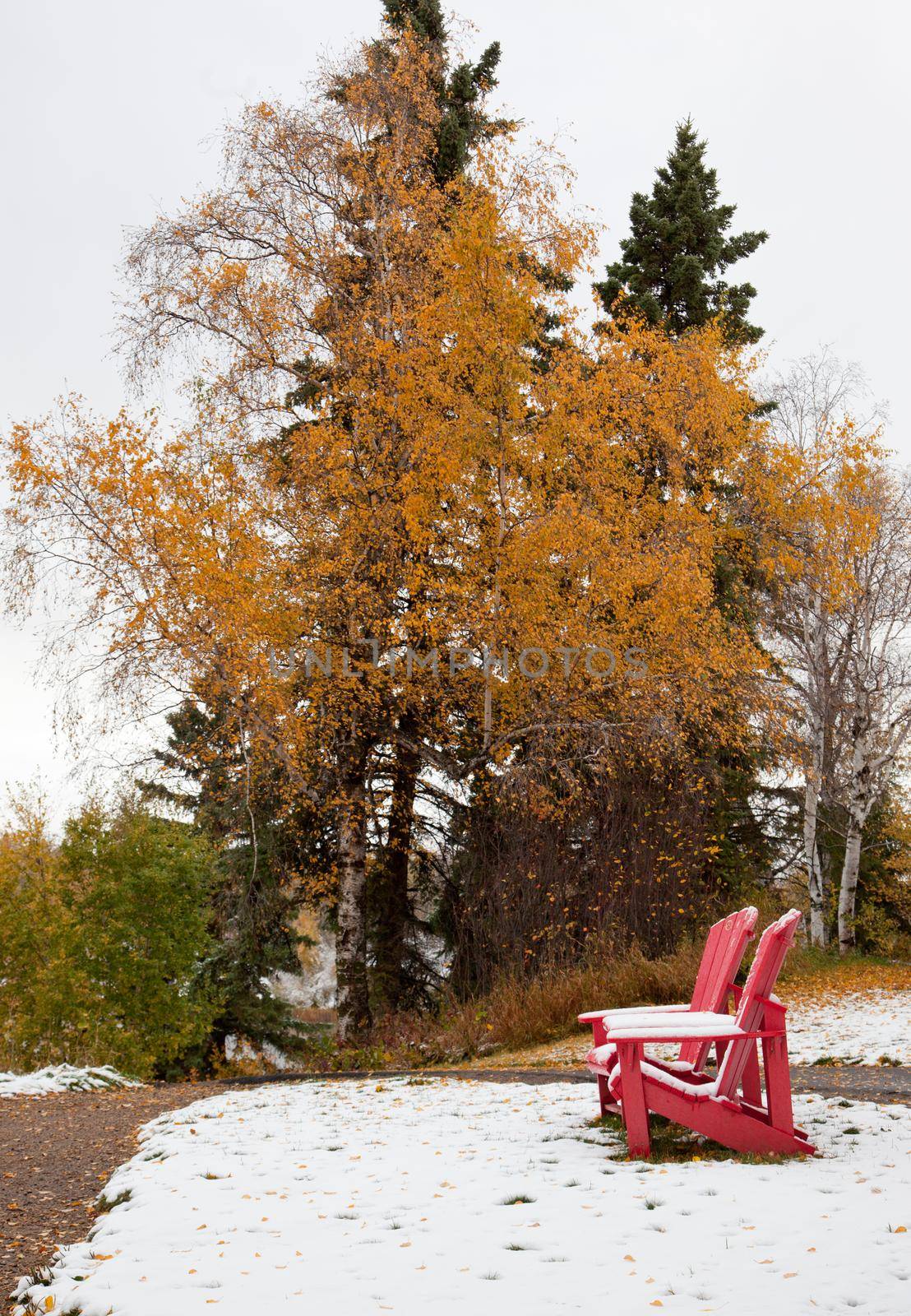 two red adirondack chairs for Canada's 150th in the snow with autumn leaves