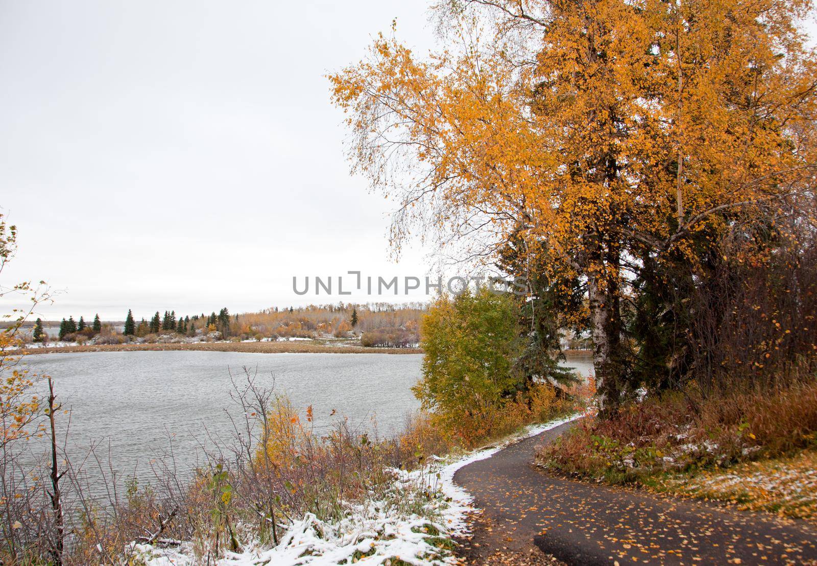 a path in autumn at astotin lake  by rustycanuck