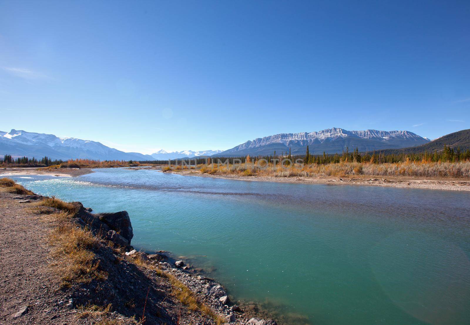  a popular tourist lookoff spot by the Athabasca River in Jasper Park, Alberta with rocky mountain view 