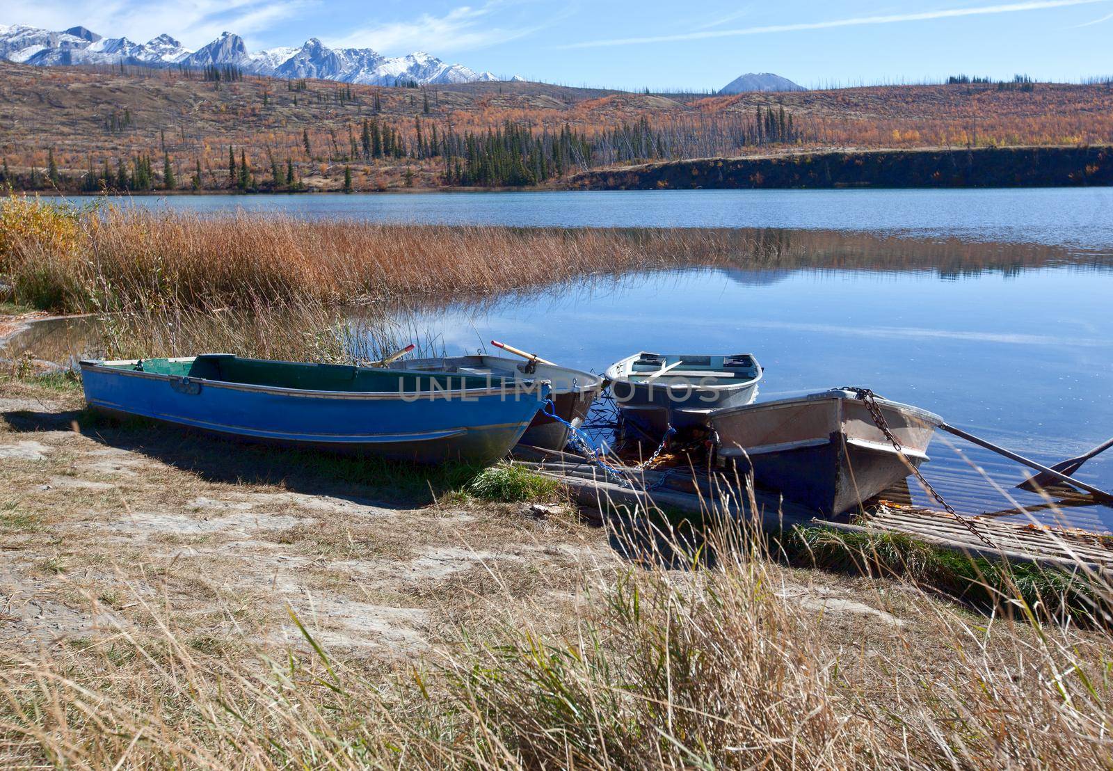  four little rowboats sit by the shoreline of Lake Talbot with Rocky Mountains in Jasper, Alberta 