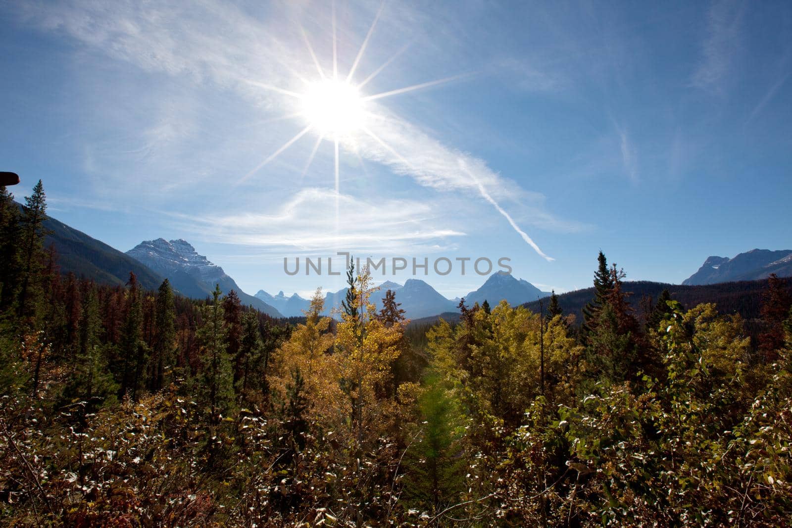  a sun flare above the Canadian Rocky mountains over a forest near Athabasca pass