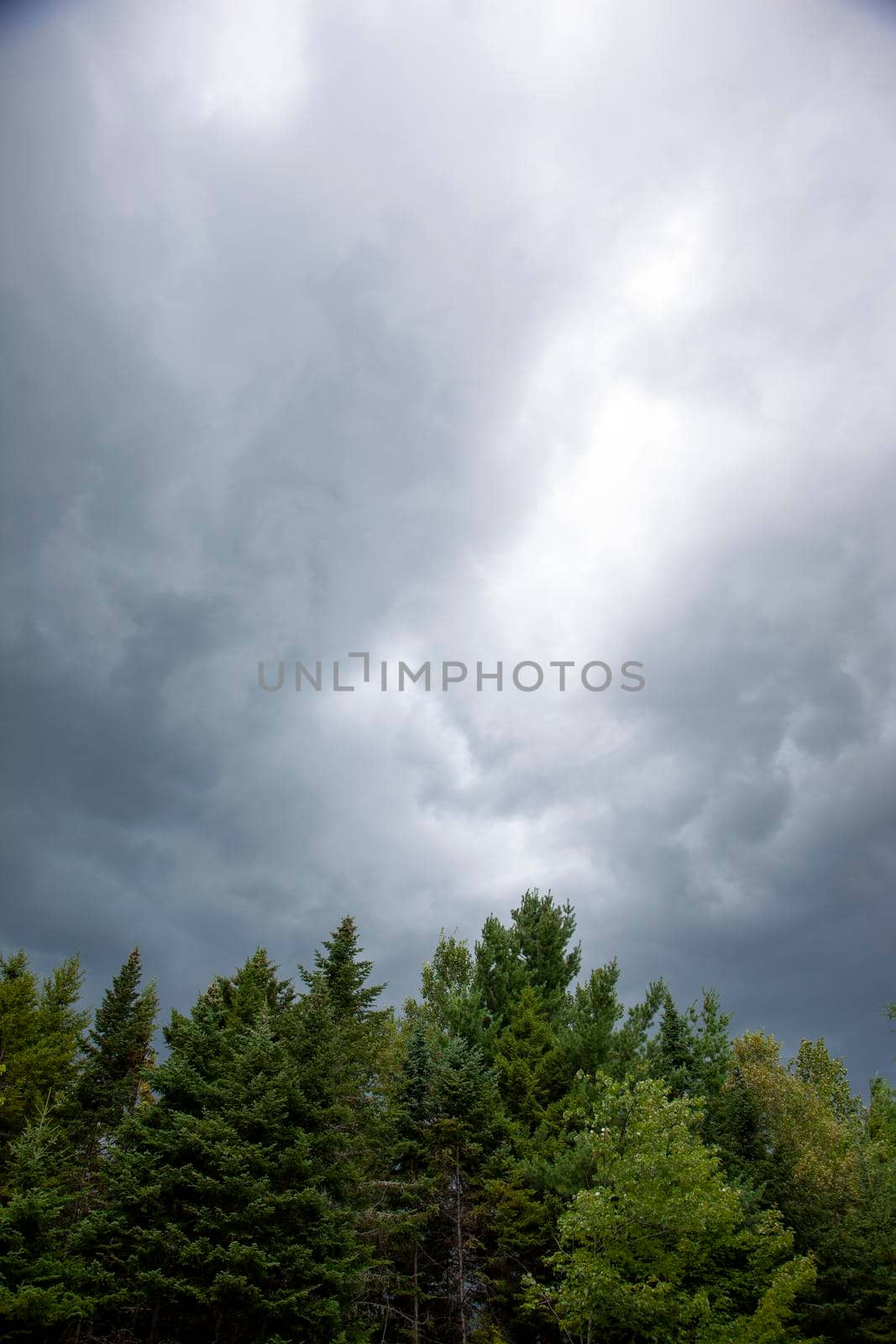 dark gloomy grey clouds with trees before a storm in Canada