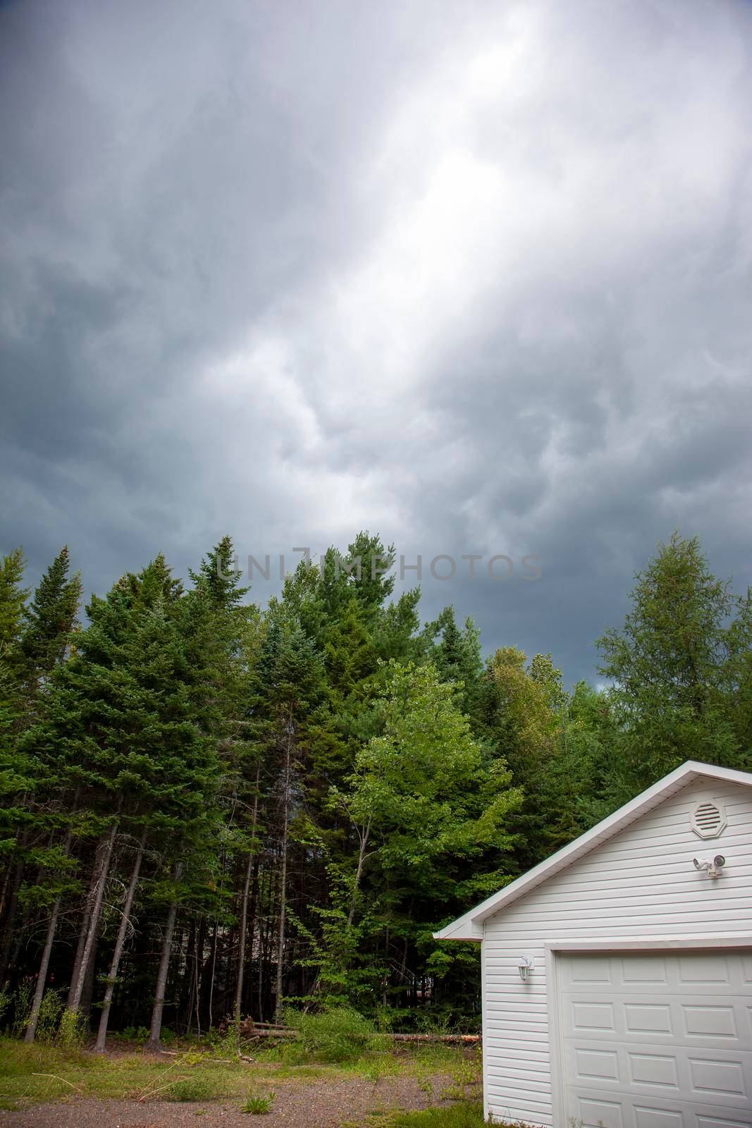 storm brewing beyond trees and shed by rustycanuck