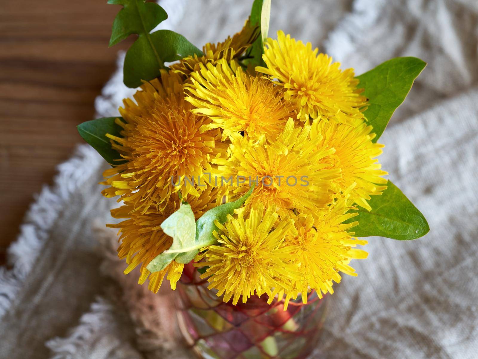 Fresh dandelion flowers in a vase on a table by madeleine_steinbach