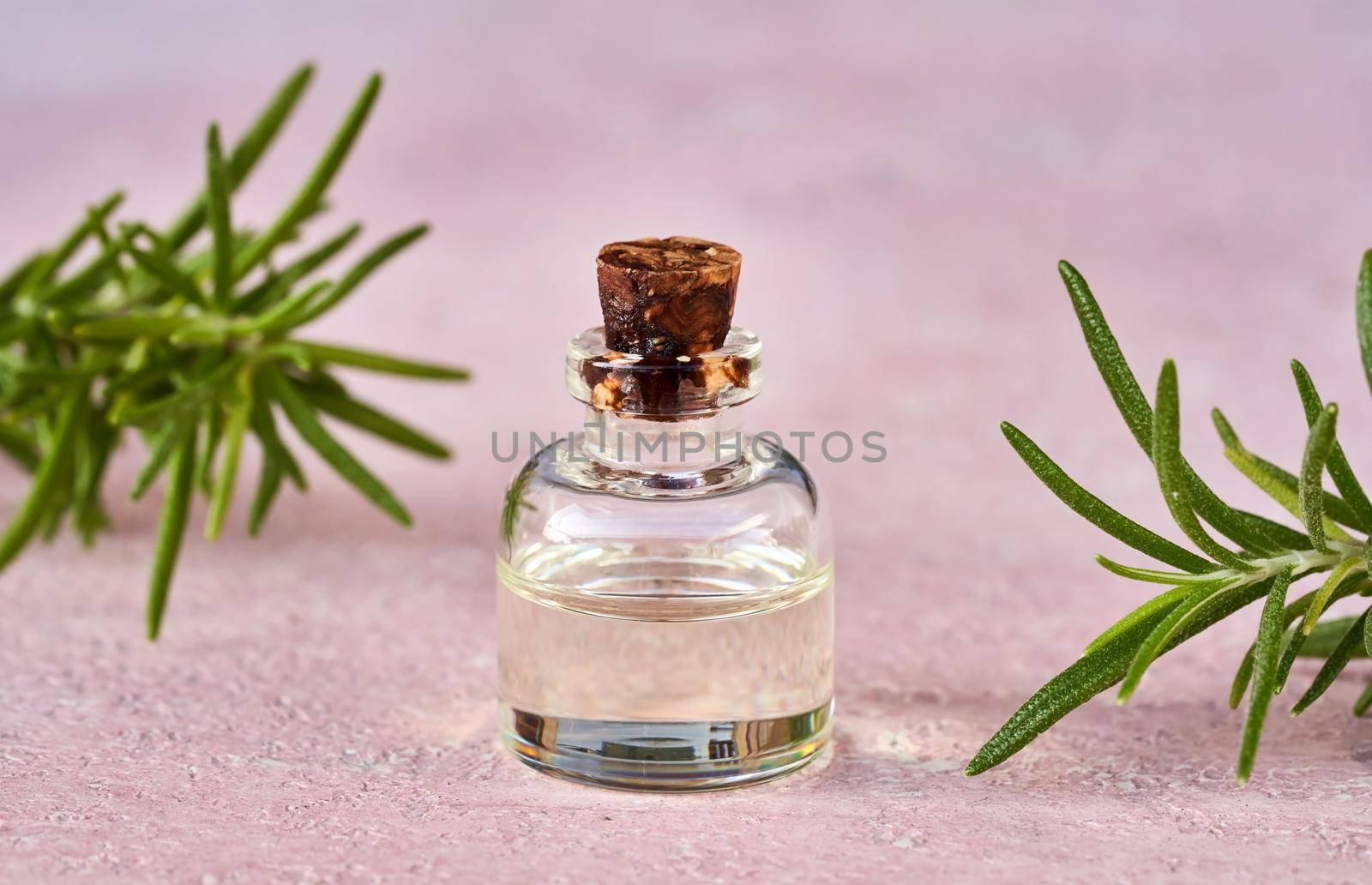 Essential oil bottle with fresh rosemary on pastel pink background