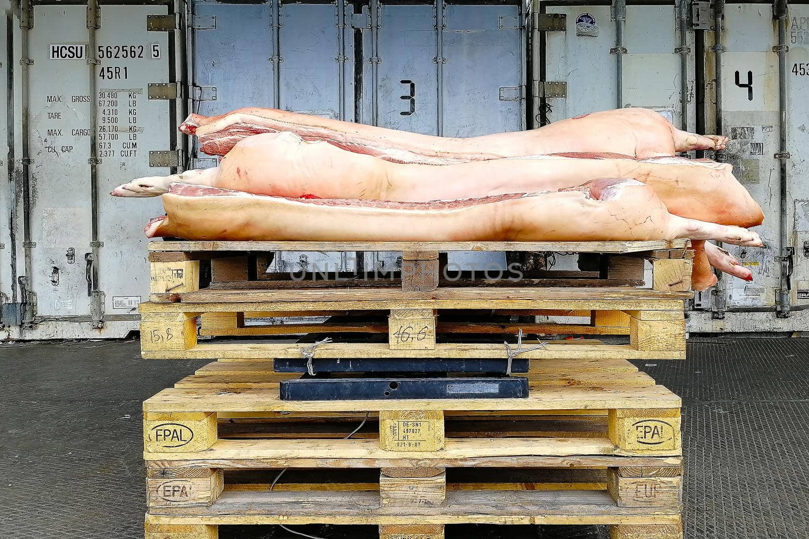 Pork half-carcasses on scales. Raised with wooden pallets. by Essffes