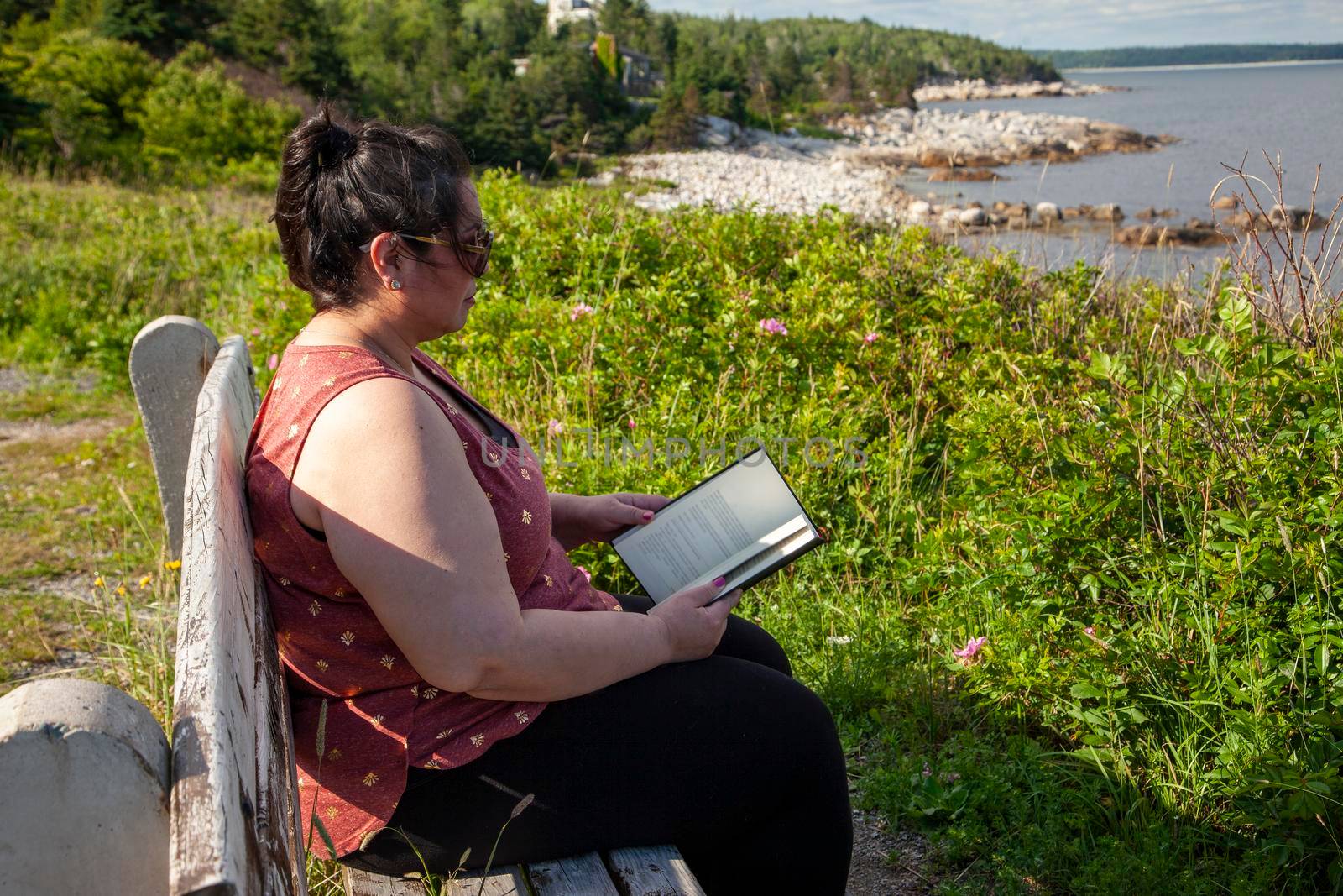 woman on a peaceful park bench beside the sea reading a good book in the sun 