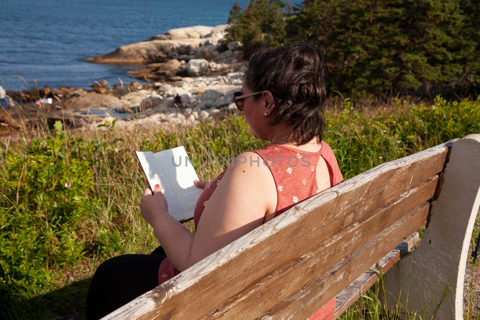 Summer read on the ocean  by rustycanuck