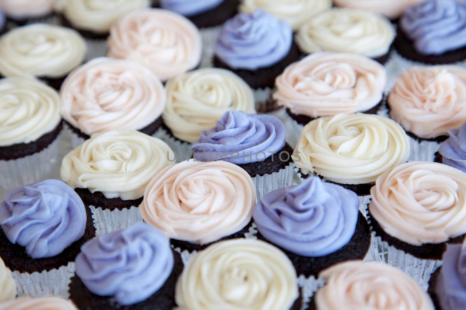 Beautiful colored chocolate cupcakes by rustycanuck