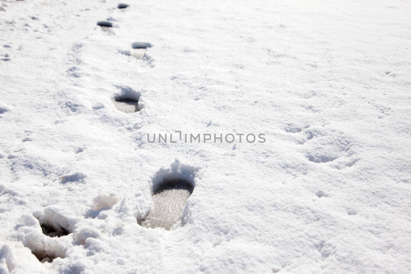  winter blanket of snow with boot or foot prints walked in