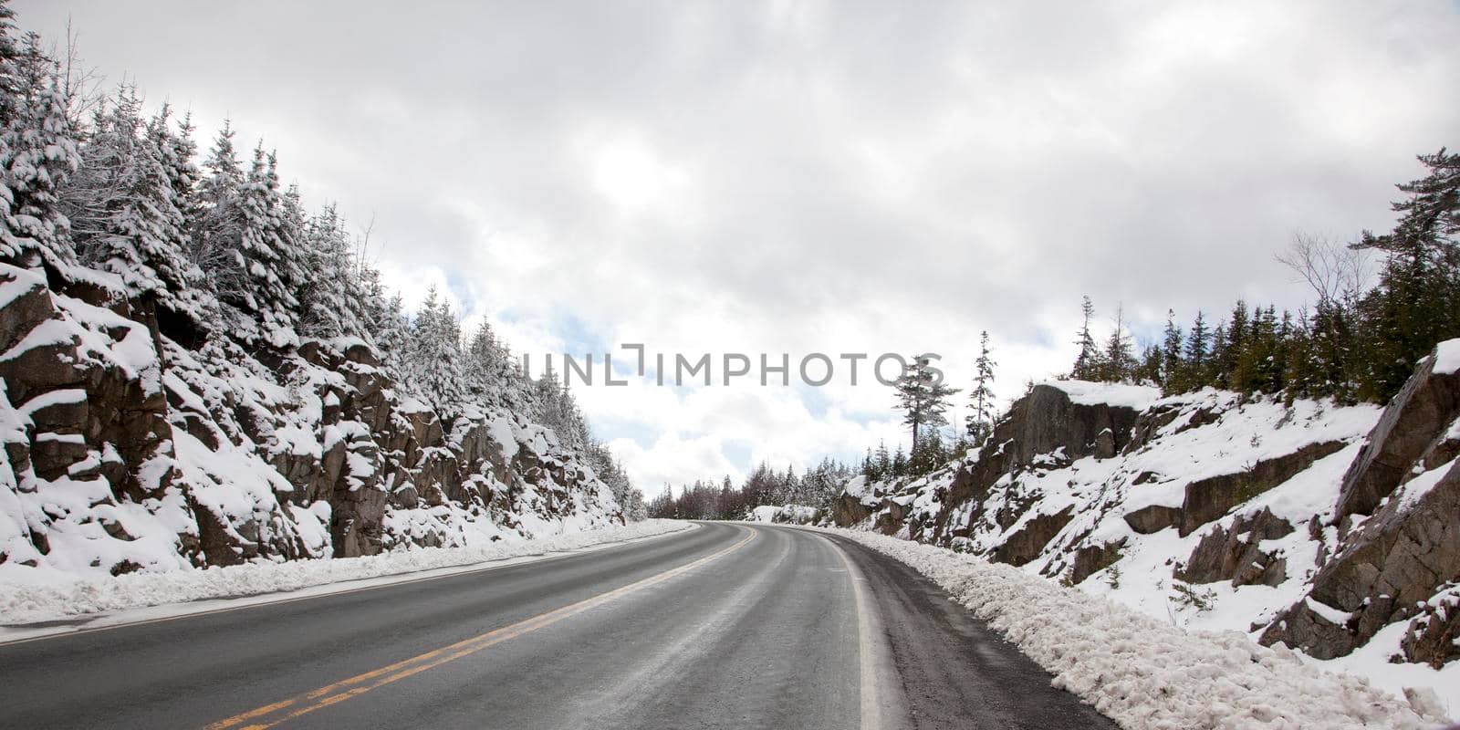  beautiful trees covered in snow with blue sky on an empty highway 