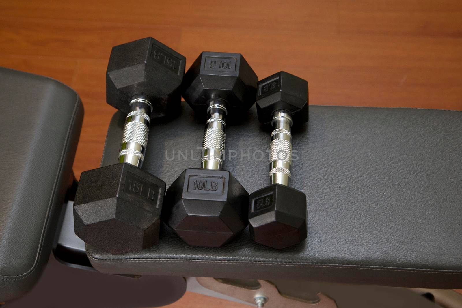 Row of light, small weight dumbells on a weight bench 