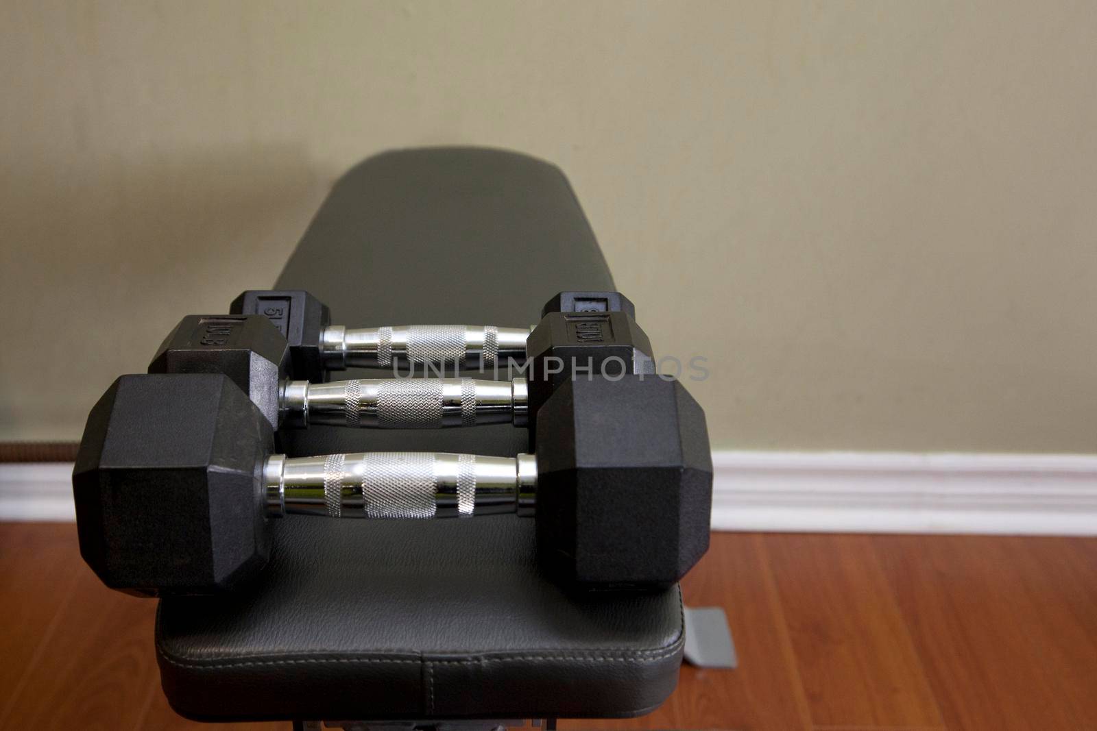 Dumbells on a bench in a gym with copy space