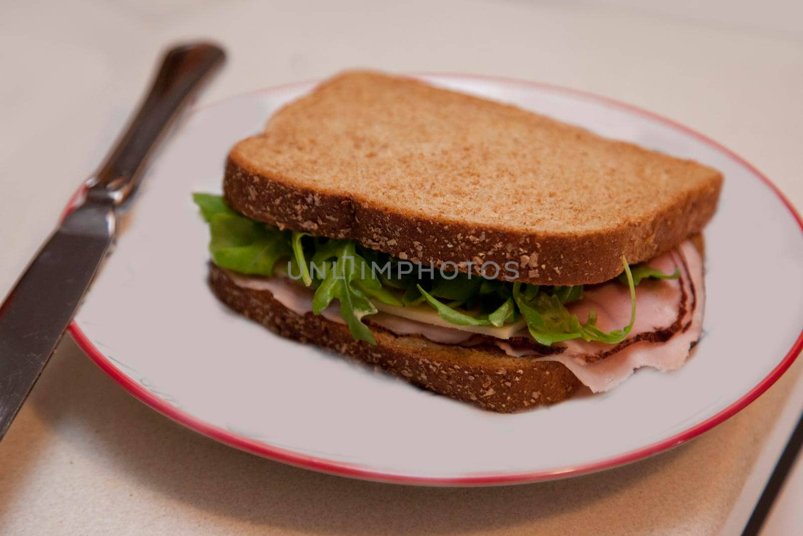  Delicious looking brown bread sandwich on a plate for lunch