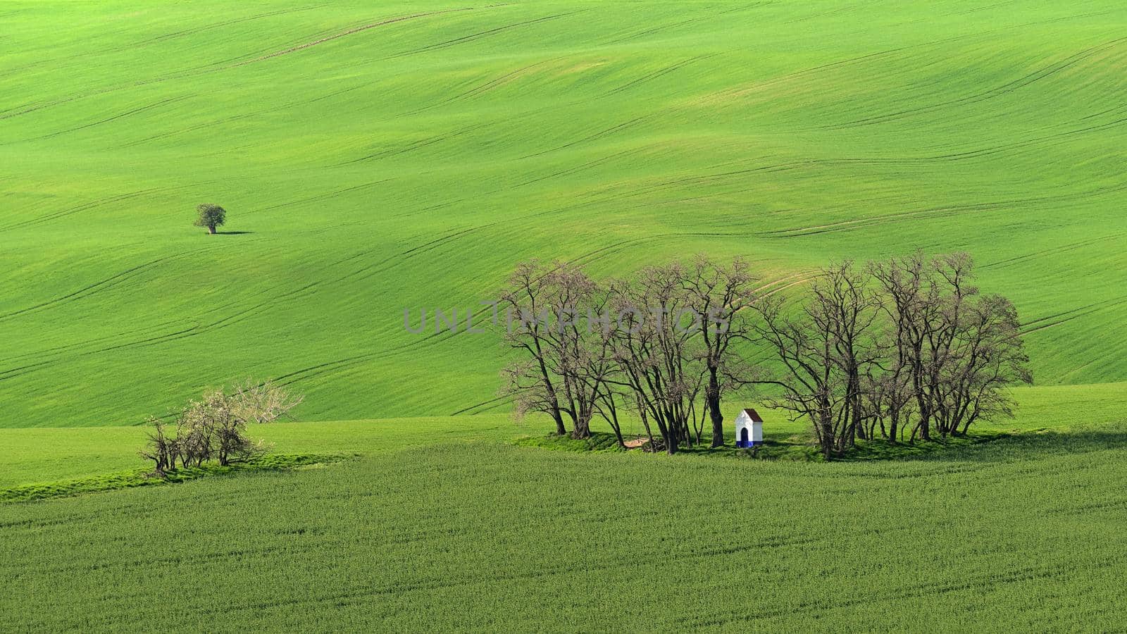 Beautiful spring landscape. Chapel of St. Barbara on the field with waves - Moravian Tuscany Czech Republic. by Montypeter